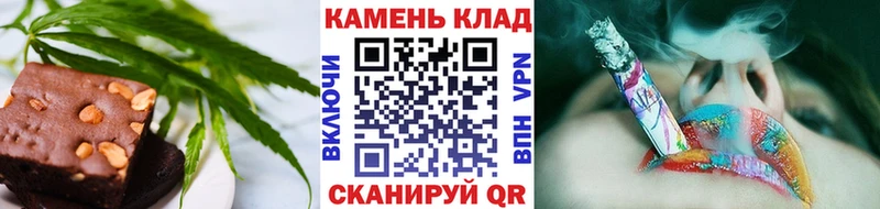 Canna-Cookies конопля  Тбилисская 