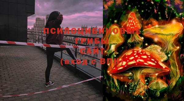 тгк Верея