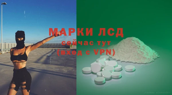 тгк Верея