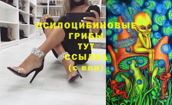 винт Новозыбков